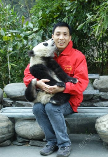 人与大熊猫亲密接触图片