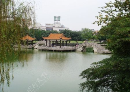 逸仙湖公园3图片