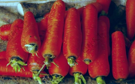 胡萝卜蔬菜红萝卜图片
