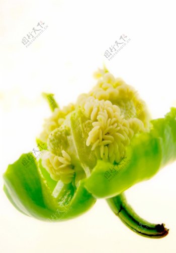 青椒高清晰蔬菜写真图片