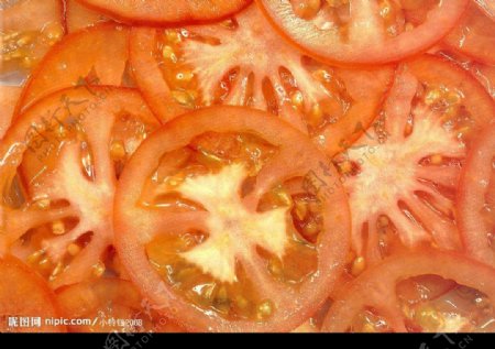 西红柿切面图片
