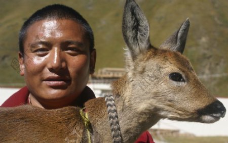 西藏寺庙僧侣图片