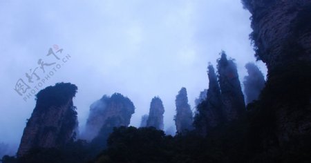 天子山20图片