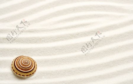 海螺沙滩图片