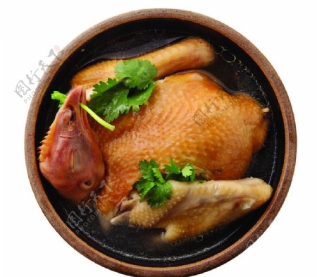 中华美食砂锅炖鸡图片