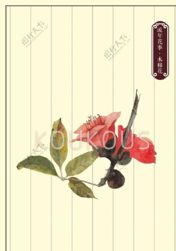 木棉花花卉素材图片