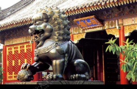 颐和园东宫门外铜狮图片