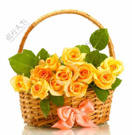 黄玫瑰花篮图片