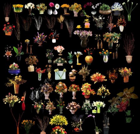 装饰花卉绿植图片