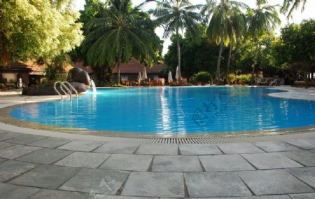 椰子岛酒店游泳池图片