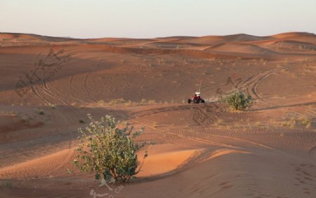 沙漠中的冲沙车图片