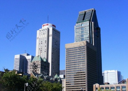 蒙特利尔蓝天下的高楼图片