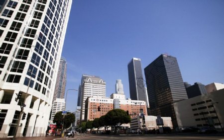 洛杉矶的大楼群图片