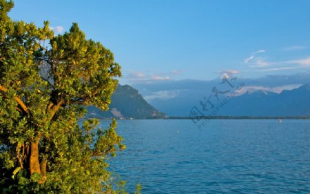 瑞士萊蒙湖湖光山色图片