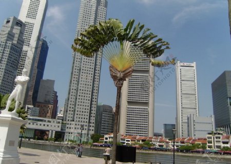 新加坡新加坡河畔景色图片