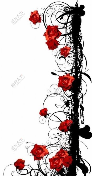 红玫瑰花架图片
