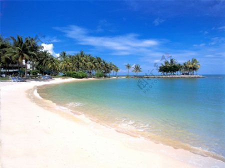 南洋美丽的沙滩图片