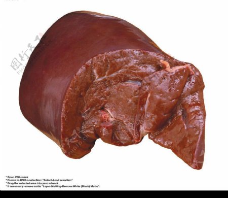 猪肺图片