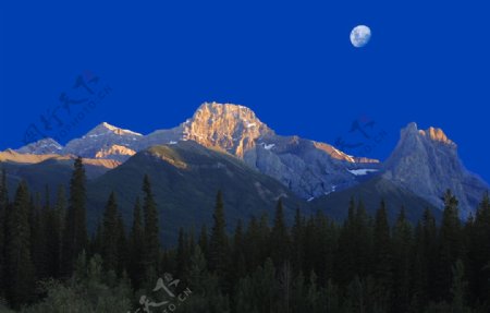 阿尔卑斯山的月光图片