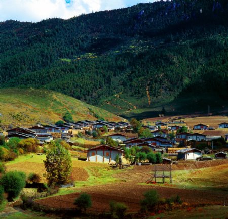香格里拉藏族村落图片