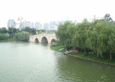腾龙桥远景图片