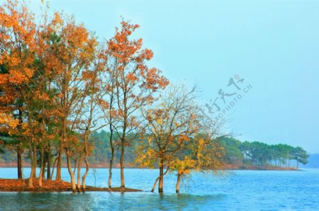 南湖的秋天图片