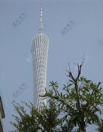 广州新电视塔图片