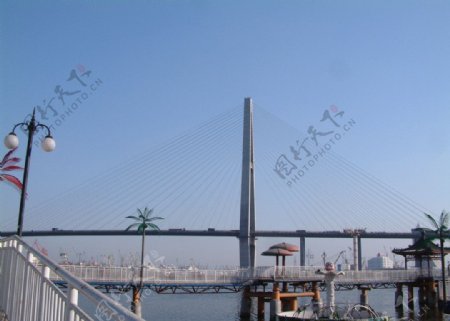 塘沽海河大桥图片