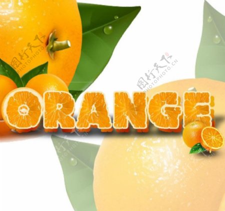 橘子水果字图片