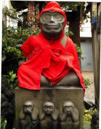 日本神猴图片