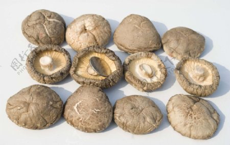 原生态香菇素材图片