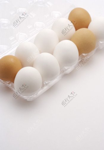 鸡蛋鸭蛋图片