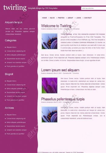 紫色波动BLOG网页图片