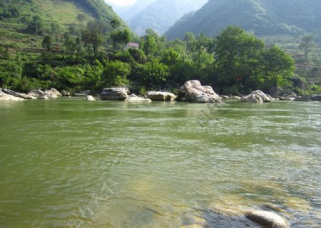碧绿的河水图片