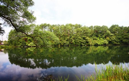 湖水景观图图片