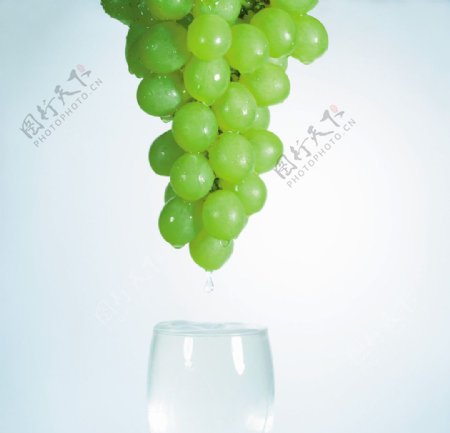 绿葡萄汁水果水果汁图片