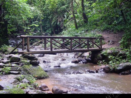 森林中的小桥流水图片