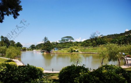 珠海海滨公园湖图片