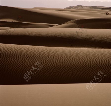 高清大沙漠图片