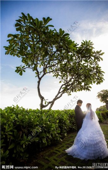 巴厘岛宝格丽婚礼图片