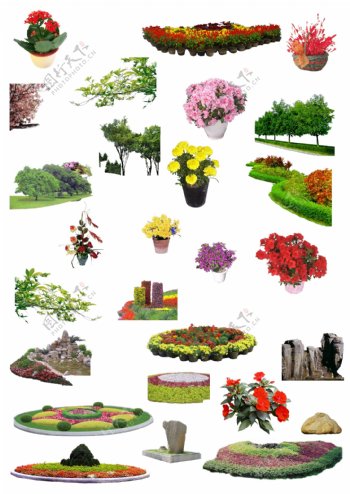 花卉花池图片