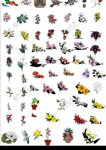 矢量花卉之系列一注矢量图在第二页图片