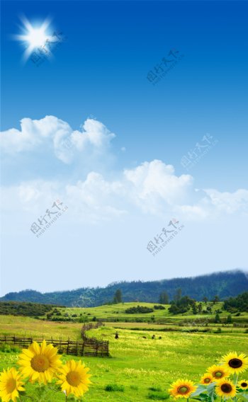 蓝天白云草原花朵素材图片