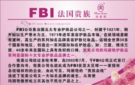 玛丽艳FBI海报图片