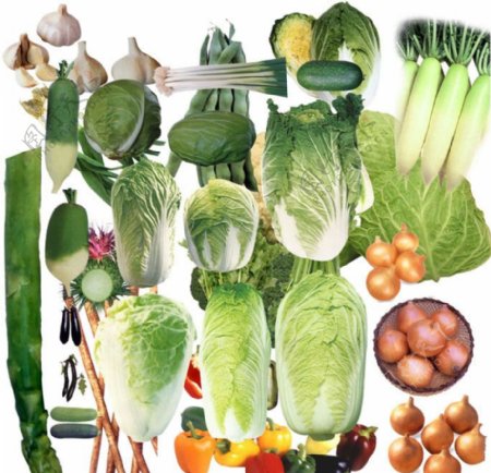 蔬菜图图片