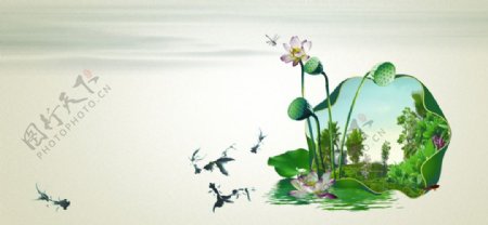 水墨中国风莲蓬绿色春图片