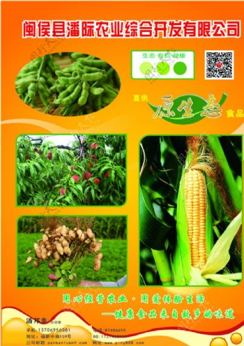 生态农业宣传页图片