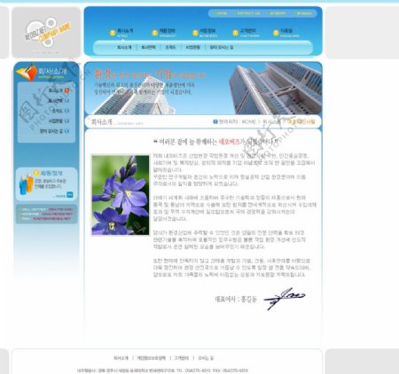 韩国创意网页模板图片