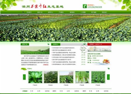 绿色蔬菜网站苗木水果图片