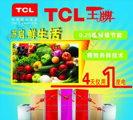 TCL王牌冰箱图片